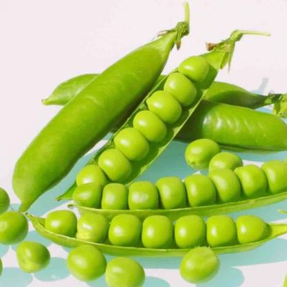 Qualtivate ® Peas seeds (Matar ke beej)-250 Seed Seed