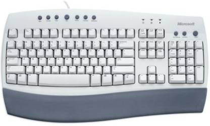 MICROSOFT C19-00001 Wired USB Standard Desktop Keyboard Compatible with Desktop, Laptop, Mac