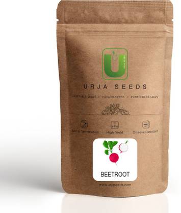 URJA SEEDS Beetroot Ruby Queen Seed