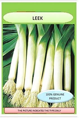 VibeX Onion Seed