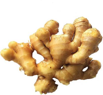 sreehari FRESH ADRAK,JINGER , FRESH JINGER Seed