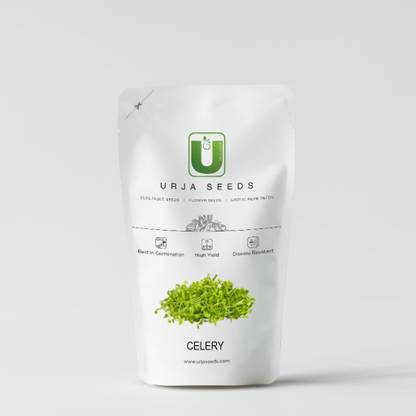 URJA SEEDS Celery - Microgreens Seed
