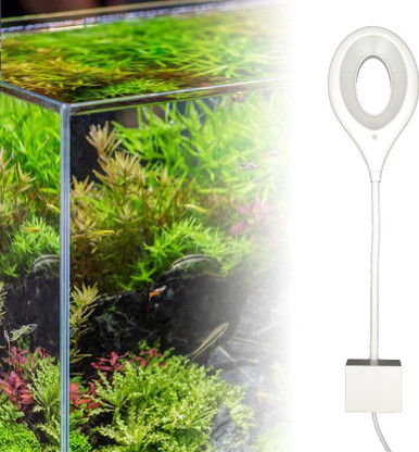 Freshwater led light Clearance