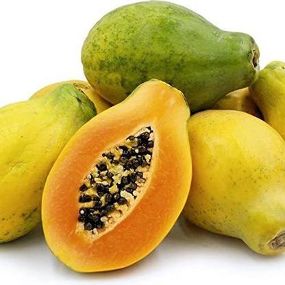MKR Enterprises Papita Seed