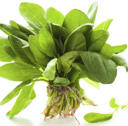 VibeX PALAK, SPINACH Seed