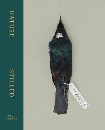 Nature - Stilled