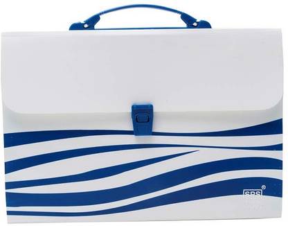 T T Enterprise Plastic File Folder