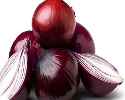 VibeX ONION Seed