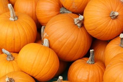 VibeX Pumpkin Seed