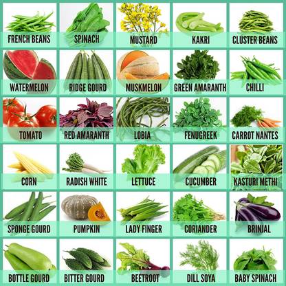 CYBEXIS 30 Varities Vegetable and Herbs Combo Seed