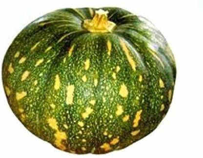 VibeX Pumpkin Seed
