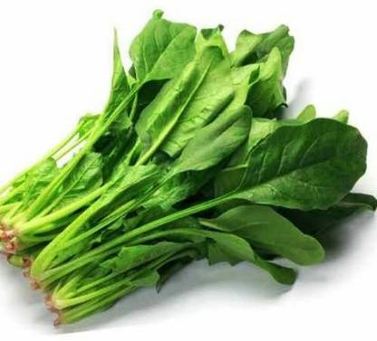 VibeX PALAK Seed