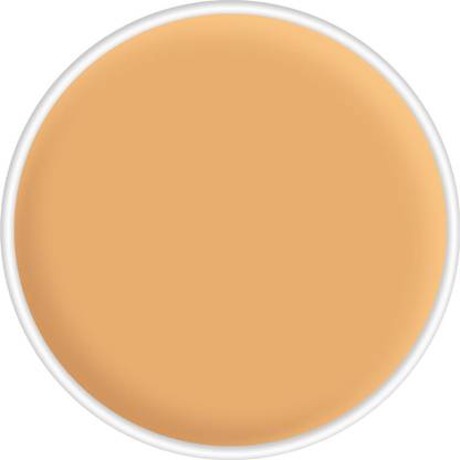 KRYOLAN FS22 Concealer