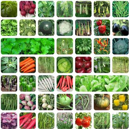 ONLY FOR ORGANIC Vegetable Seed