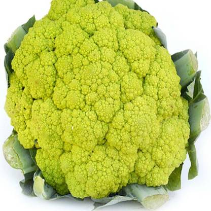 VibeX CAULIFLOWER, GREEN CAULIFLOWER Seed