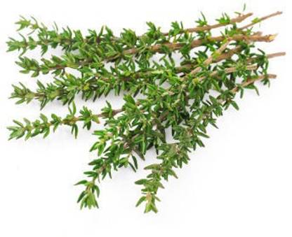 Mozette Organic thyme herb Seed