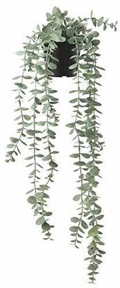 IKEA Artificial Potted Plant, in/Outdoor Hanging, Eucalyptus, 9 cm (3 ½") Wild Artificial Plant  with Pot