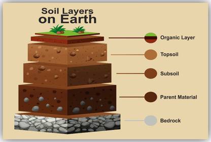 SCIENCE POSTERS SOIL LAYERS ON EARTH Paper Print