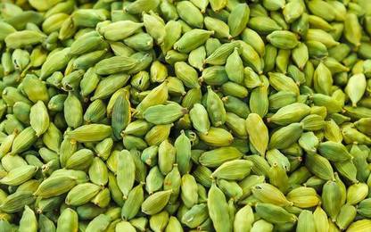 Kerala Naturals Big Size Fresh and Green Cardamom/Elaichi-500 gm -Pure and Whole Kerala's Best quality Spices