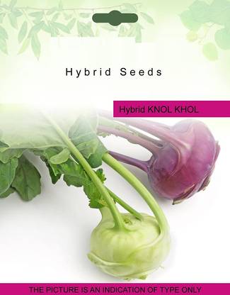 VibeX ® LXI-23 Knol Khol Vegetable Seeds Seed