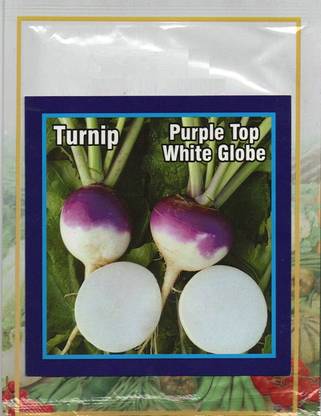 VibeX Turnip Purple Seeds Seed