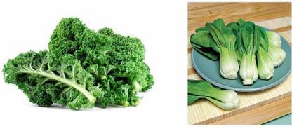 VibeX ® XLL-42 Brassica Leave Kale Edible Green Leaves Seeds Pak Choy Seeds Seed