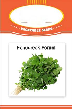VibeX ® VXI-191 Organic Natural Methi Seeds - Methi Kasuri Seed