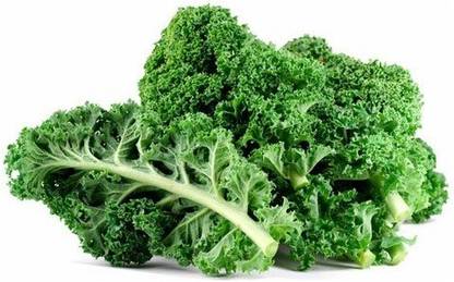 VibeX Kale pureple brassica seeds Seed