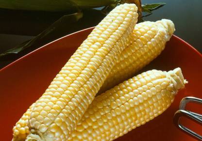 VibeX ® VXL-306 Gardening Corn Seeds Seed