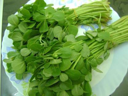 ActrovaX METHI FENUGREEK [1gm Seeds] Seed