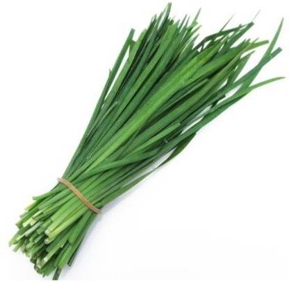 VibeX ™ VXL-110 CHIVES HERB SEEDS Seed
