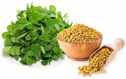 VibeX ® VXI-311 Methi DESI Super Fenugreek Seeds Seed