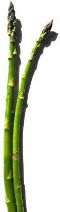 CRGO ASPARAGUS Seed
