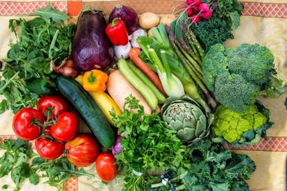 Advance EXOTIC VEGITABLE, MIX VEGITABLE Seed