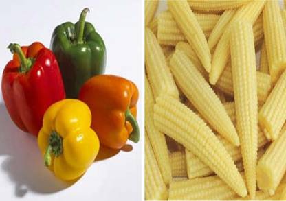 VibeX Baby Corn Seed