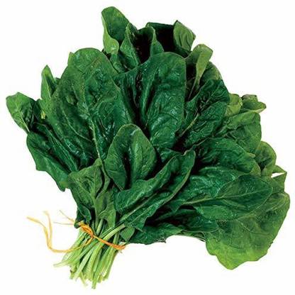 ActrovaX XXX Organic Desi Green Spinach Palak [2000 Seeds] Seed