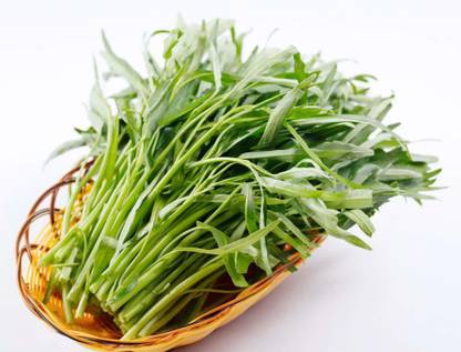 VibeX ® VXI-661 Water Spinach Thai Kangkong Spinach Nari Seed
