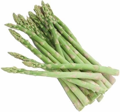 VibeX ™ VXL-151 Asparagus Racemosus Seeds Seed