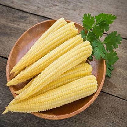 VibeX ® VXL-856 Organic Desi Hybrid Baby Corn Seeds Seed