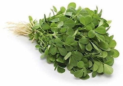 VibeX ® VXI-01 Green Methi Desi Kasturi Seeds Seed