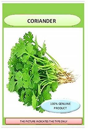 VibeX Improved Coriander Seeds Seed