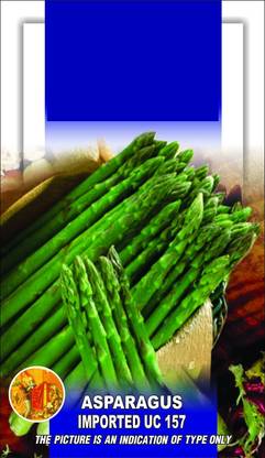 VibeX ™ VXL-05 Asparagus Exotic Seeds Uc - 161 Seed