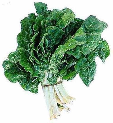 VibeX Spinach Seed