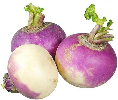 VibeX ® XLS-62 Agro Pack Of Turnip F1 Purple Top Seeds Seed