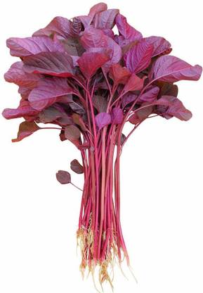 VibeX ® XL-491 Chinese Spinach Amaranthus Seeds (Red)-25 Seeds Seed