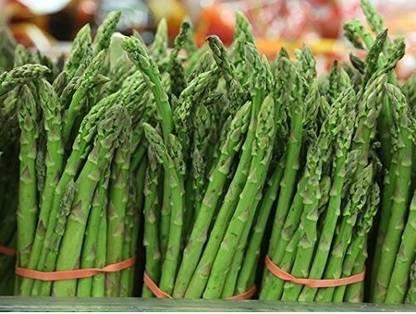 VibeX ® VXL-34 Herbal Plants For Growing - Asparagus Officinalis Seed