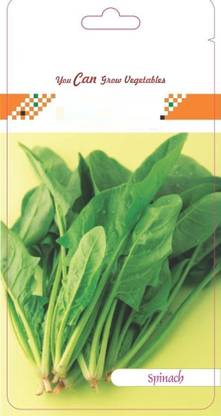 VibeX Spinach Seed