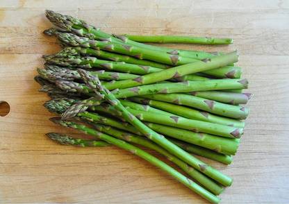 VibeX ® VXL-122 Asparagus F2 UC 157 Imported Seeds Seed