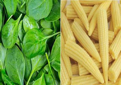 VibeX Baby Corn Seed