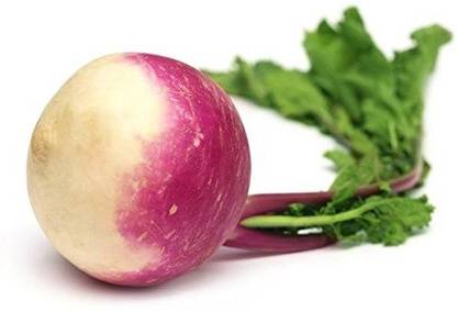 VibeX ™ XLS-121 TURNIP SHALGAM 100% ORGANIC F1 HYBRID SEEDS Seed